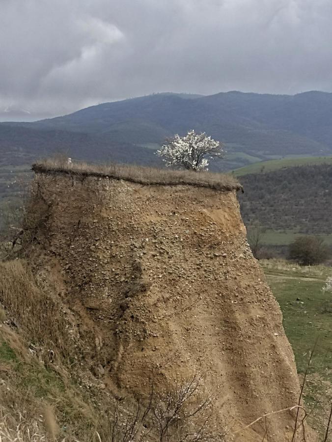 Tamara B&B Tumanyan Εξωτερικό φωτογραφία